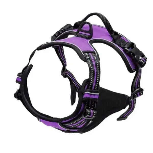 Collar_-L.-And-H.-For-Dog-All-in-One-Comfort-Set-12