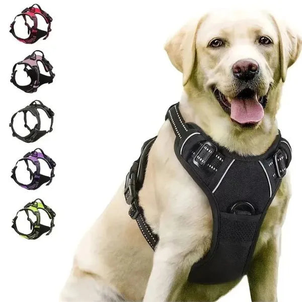 All-in-One Comfort Set – Collar, Leash & Harness for Dogs – MF PetShop
