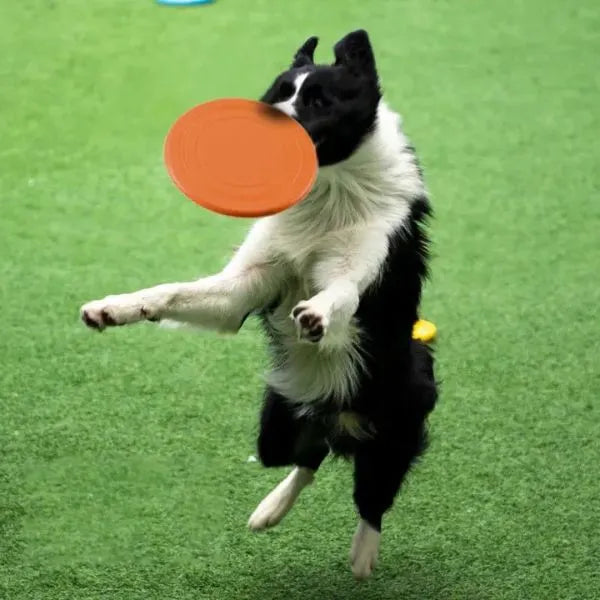 Bite-Resistant-Silicone-Dog-Frisbee-001
