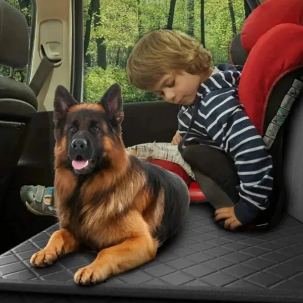 CarPaw-Protector-01