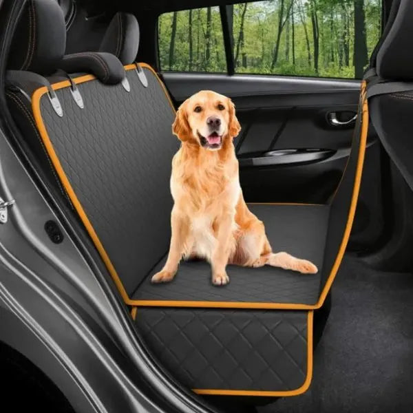 CarPaw-Protector