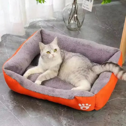 Cat Bed Dream Paw