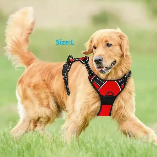 Collar_-L.-And-H.-For-Dog-All-in-One-Comfort-Set-1