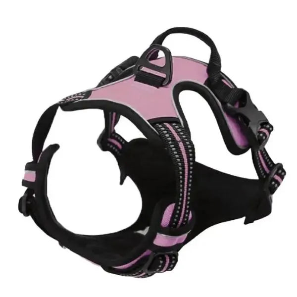 Collar_-L.-And-H.-For-Dog-All-in-One-Comfort-Set-11