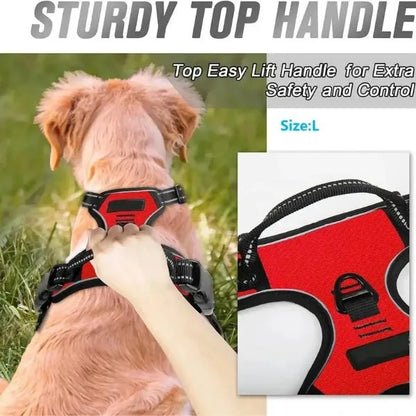Collar_-L.-And-H.-For-Dog-All-in-One-Comfort-Set-2