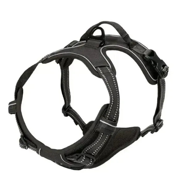 Collar_-L.-And-H.-For-Dog-All-in-One-Comfort-Set-5