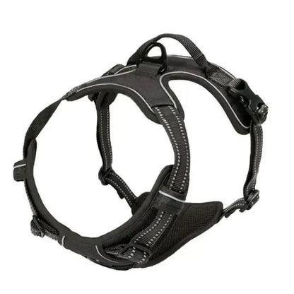 Collar_-L.-And-H.-For-Dog-All-in-One-Comfort-Set-5