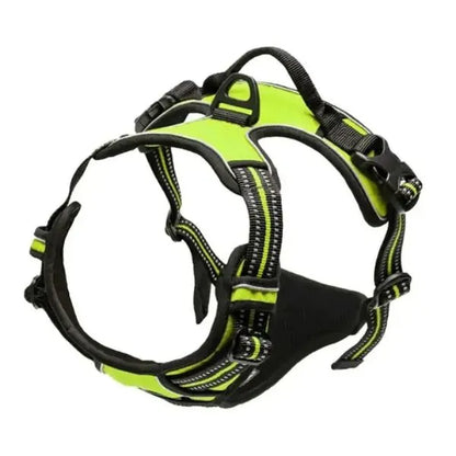 Collar_-L.-And-H.-For-Dog-All-in-One-Comfort-Set-7
