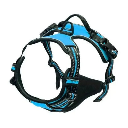 Collar_-L.-And-H.-For-Dog-All-in-One-Comfort-Set-8