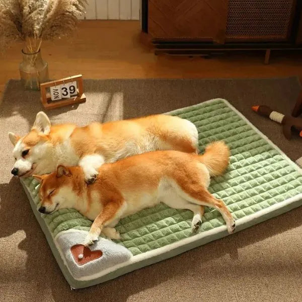 Orthopedic Dog Bed