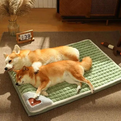 Orthopedic Dog Bed
