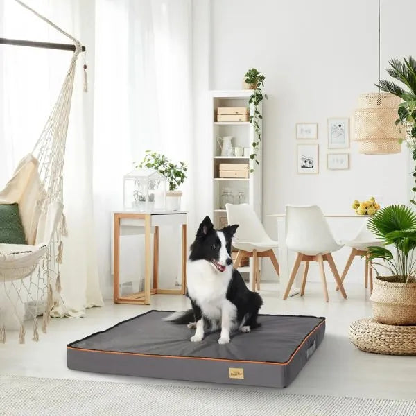 Dog Bed Orthopedic