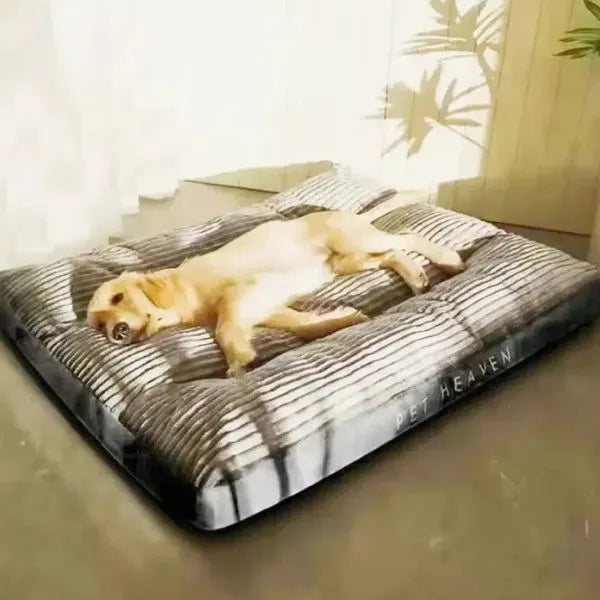 Dog Bed Sweet Nap 01