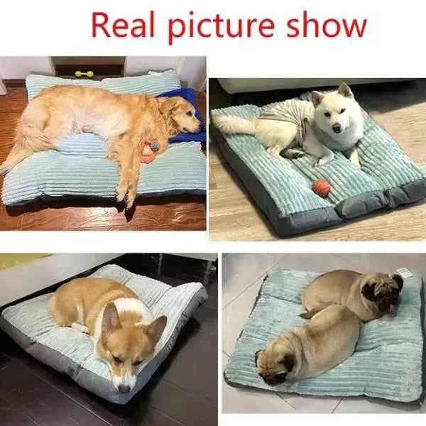 Dog Bed Sweet Nap 02