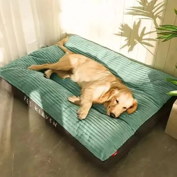 Dog Bed Sweet Nap