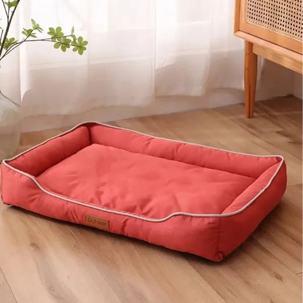 dog for dog bed
