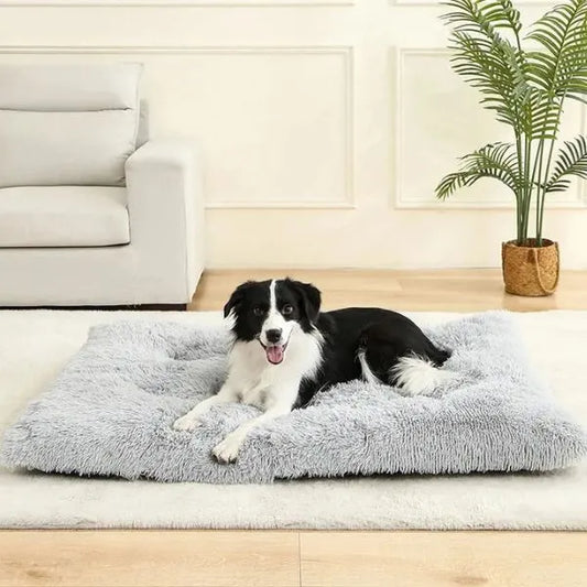 Dog Bed 