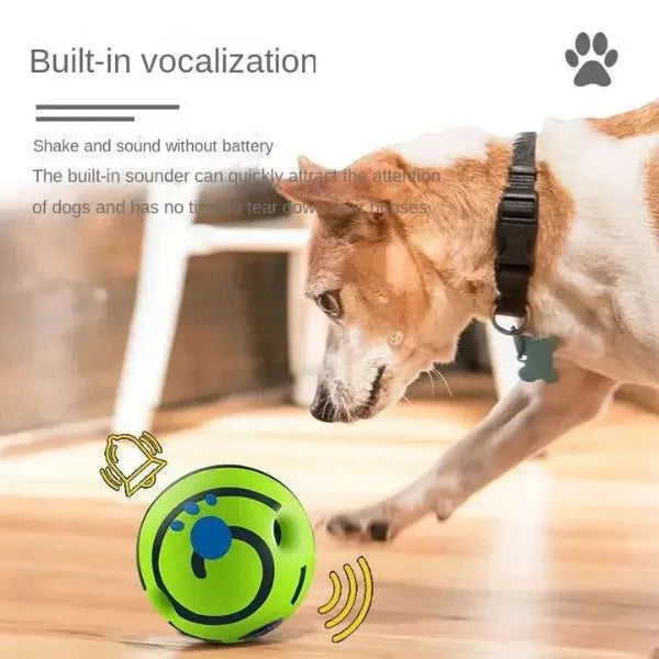 Interactive-Dog-Ball-01
