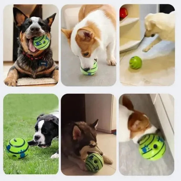 Interactive-Dog-Ball-04