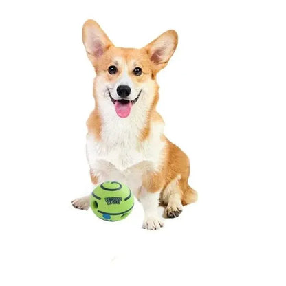 Interactive-Dog-Ball-07
