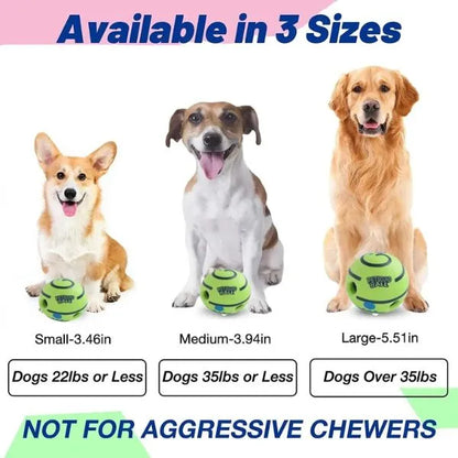 Interactive-Dog-Ball