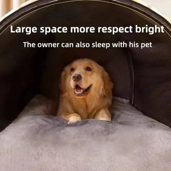 Pet House Dog Dream House 03