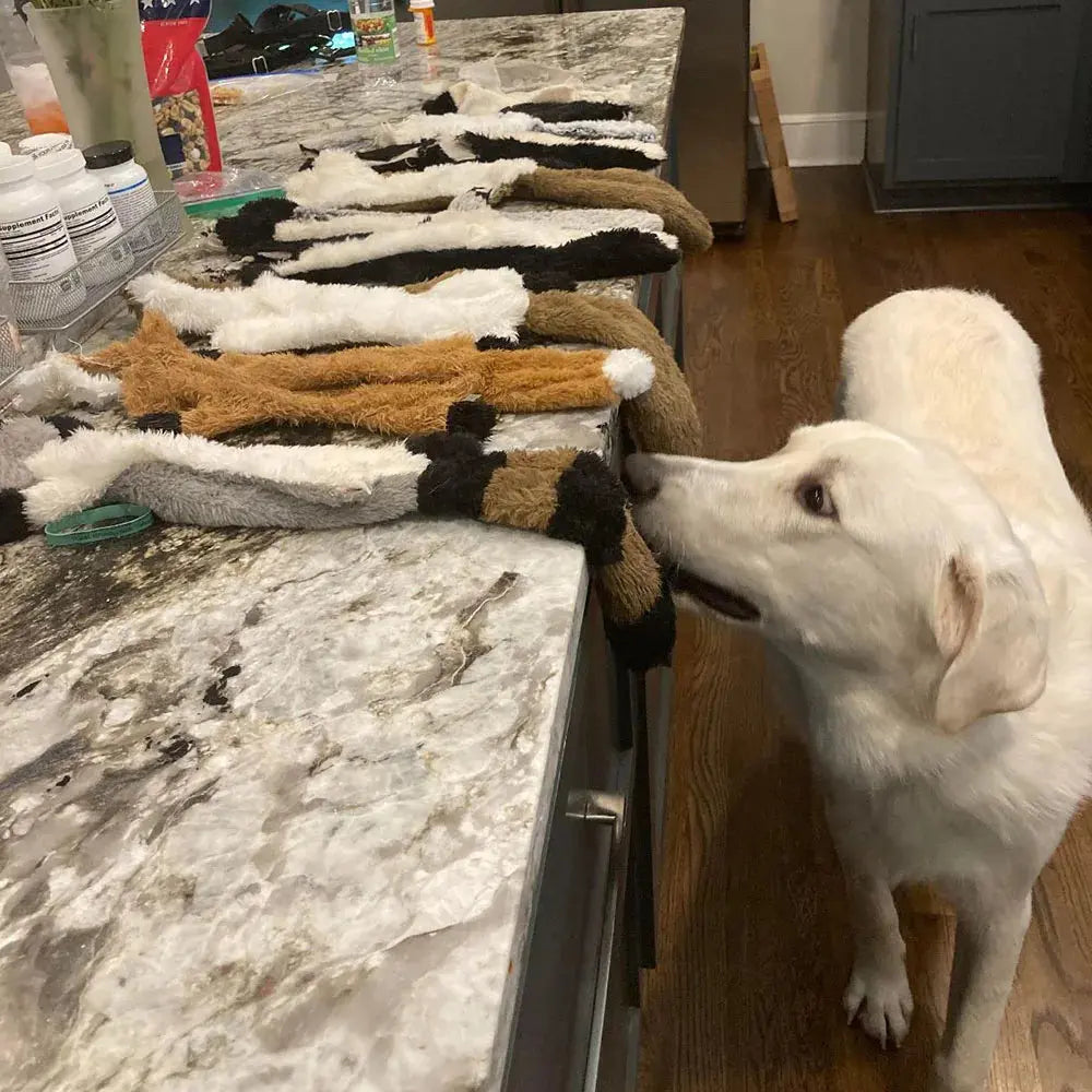 Funny Stuffing-Free Plush Toy with Squeakers, Durable. Squeaky Chew Toy for Your Pet. ShopTrendMF