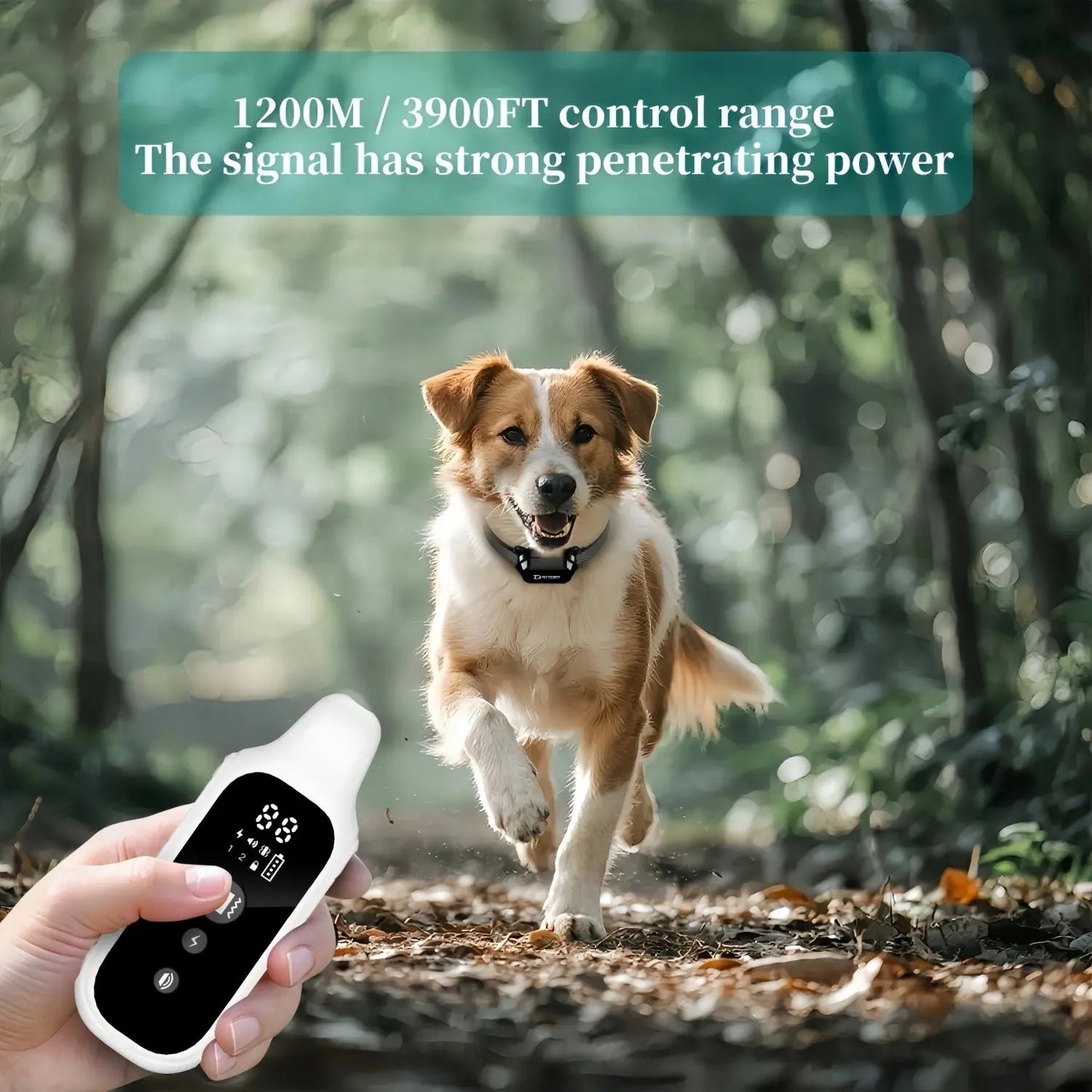 800m Digital Dog Training Collar Waterproof Rechargeable Remote Control Pet with LCD Display for All Size Shock Vibration Sound ShopTrend MF