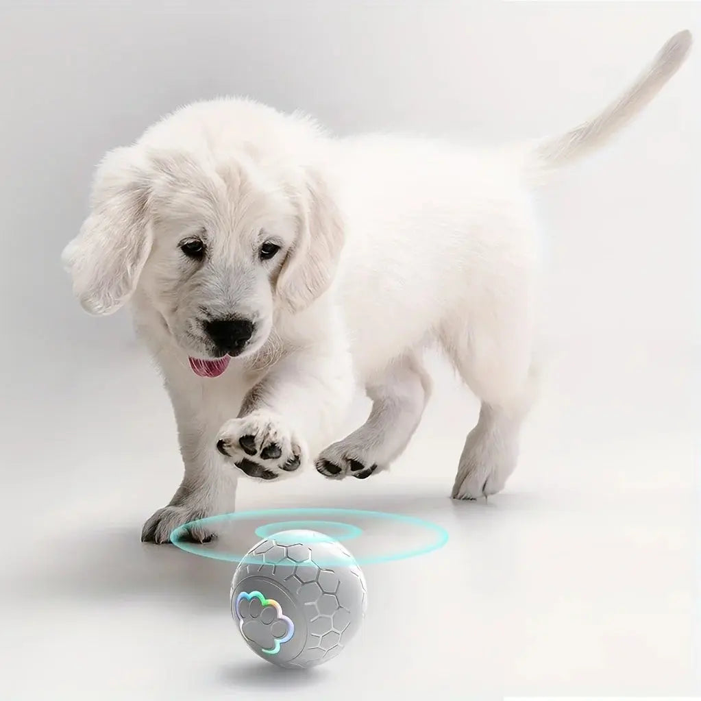 Smart Dog Toy Ball Electronic Interactive Pet Toy Ball USB Automatic Bouncing Rolling Toy Ball With RGB Lights Puppy Cat Product ShopTrend MF