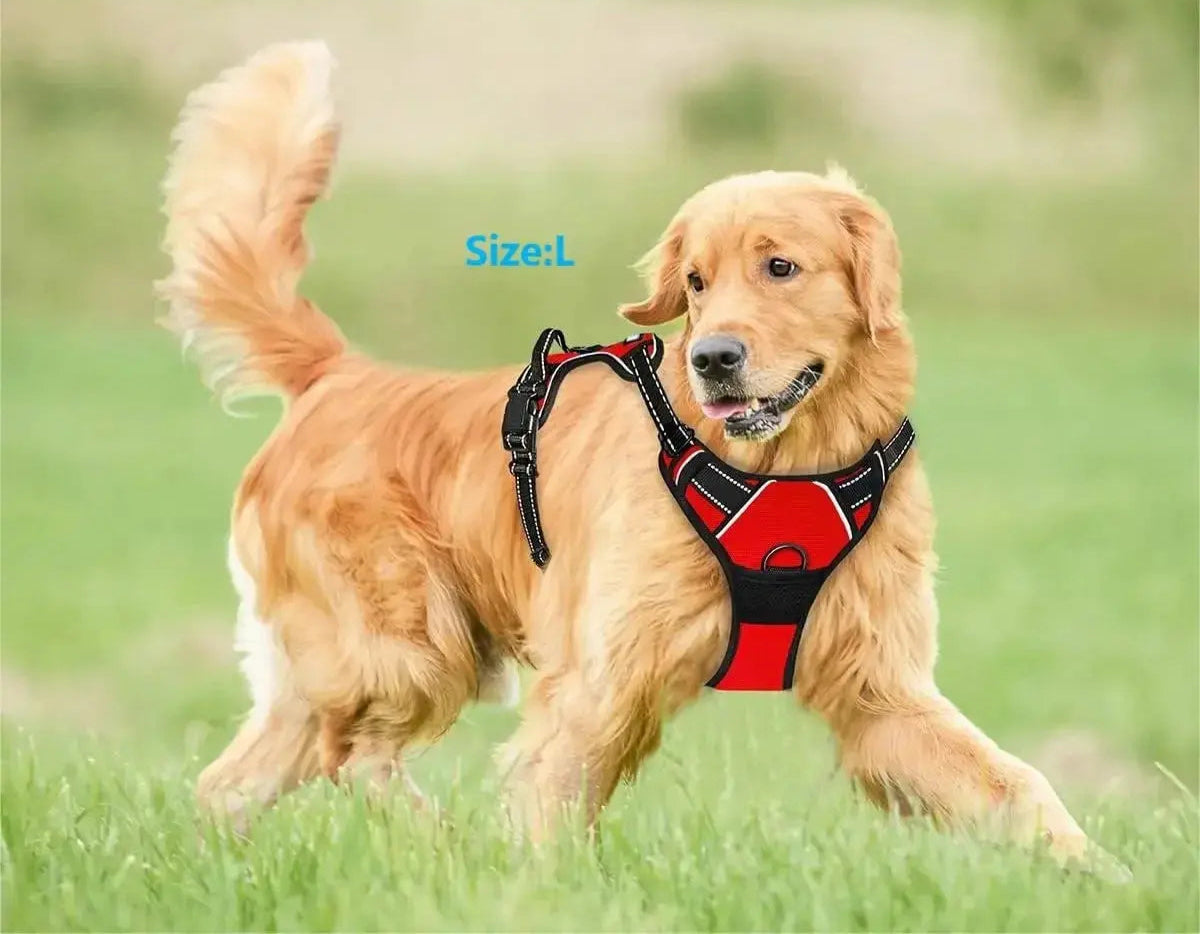 Dog Collars Harness Big Vests Leash Pet Shop Everything for Dogs Leather Puppy Accessories Medium Small Set ShopTrend MF