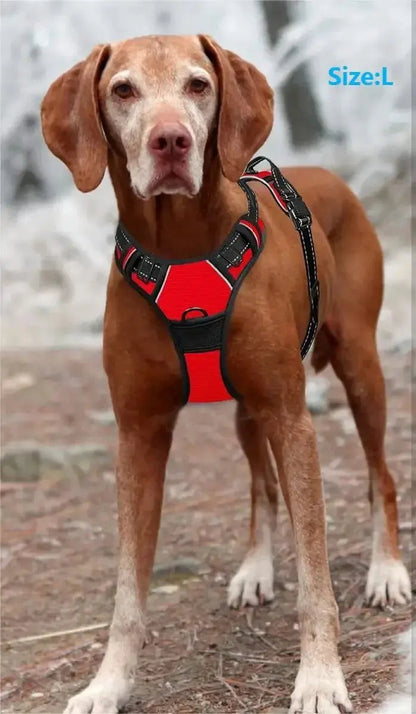 Dog Collars Harness Big Vests Leash Pet Shop Everything for Dogs Leather Puppy Accessories Medium Small Set ShopTrend MF