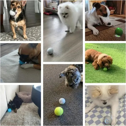 Toys-For-Dog-Interactive-Ball-Of-Joy-06