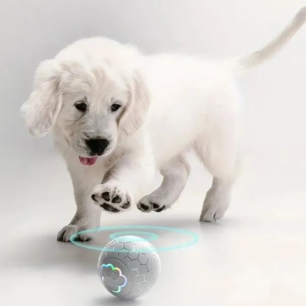 Toys-For-Dog-Interactive-Ball-Of-Joy-07