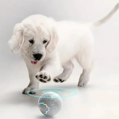 Toys-For-Dog-Interactive-Ball-Of-Joy-07