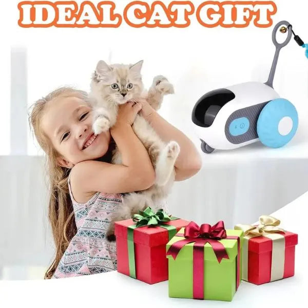 ZoomPaws-Smart-Chase-Car-_-Interactive-Cat-Toy-09